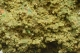 Pyromorphite