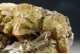 Mimetite var. Campylite