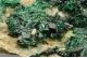 Antlerite