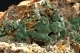 Aurichalcite and Hemimorphite
