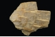 Barite