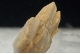 Barite