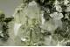 Epidote and Quartz