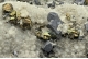 Chalcopyrite & Galena