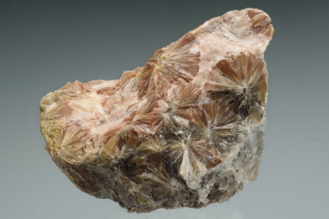 Selenite `Daisy bed' Gypsum