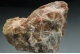 Selenite `Daisy bed Gypsum`