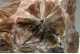 Selenite `Daisy bed Gypsum`