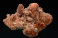 Creedite