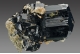Schorl (Var. of Tourmaline)