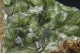 Ludlamite