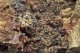 Cronstedite and pyrite