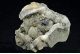 Chalcopyrite & Galena