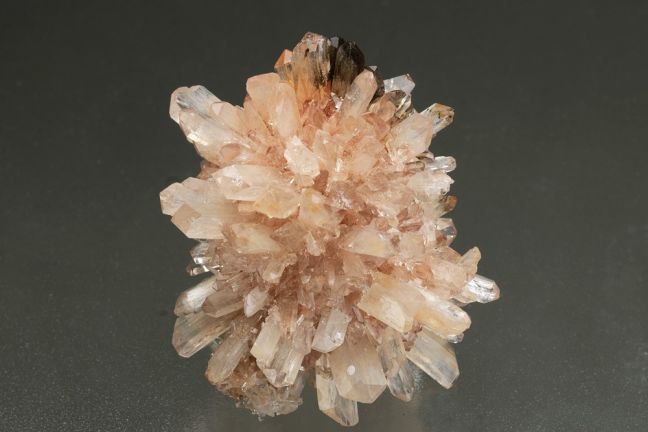 Creedite