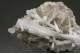 Natrolite