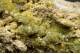 Pyromorphite