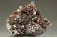 GARNET Var. Andradite