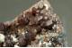 GARNET Var. Andradite