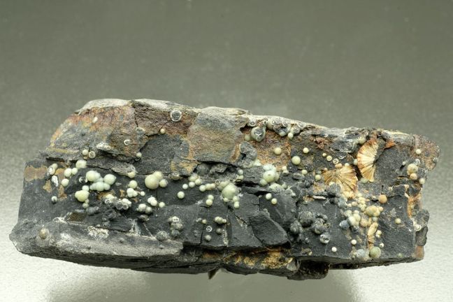 VARISCITE