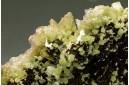 Wulfenite & Pyromorphite