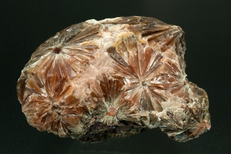 Selenite `Daisy bed Gypsum`