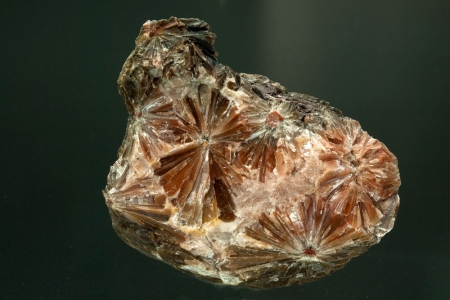 Selenite `Daisy bed Gypsum`