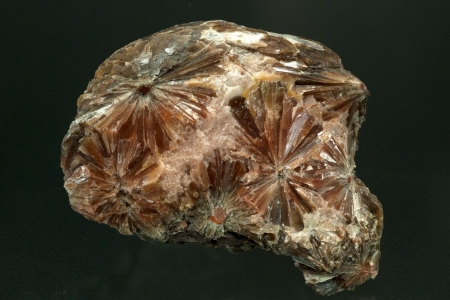 Selenite `Daisy bed Gypsum`