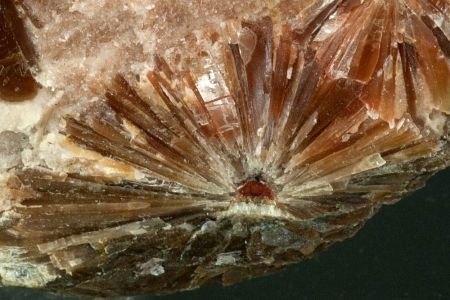 Selenite `Daisy bed Gypsum`
