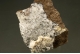 Aragonite