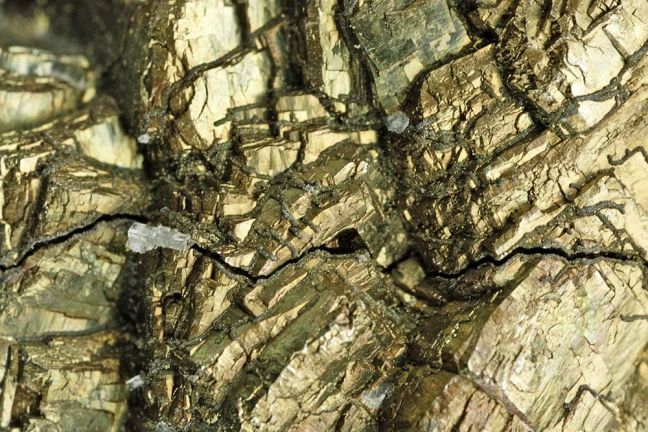 Pyrite & Brewsterite Pyrite & Brewsterite