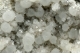 Thomsonite & Chabazite