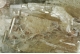 Barite