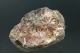 Selenite `Daisy bed Gypsum`