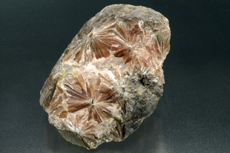 Selenite `Daisy bed Gypsum`