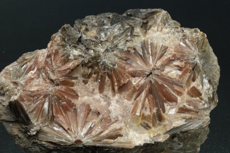 Selenite `Daisy bed Gypsum`