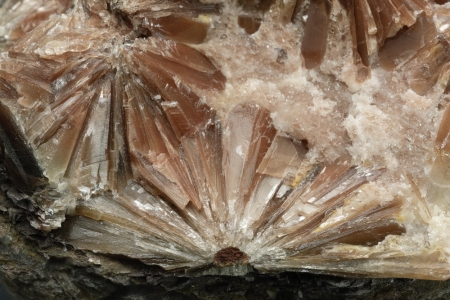 Selenite `Daisy bed Gypsum`