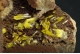 Legrandite