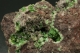 Adamite (Var. Cuprian adamite)