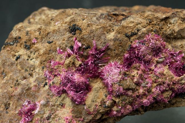 Erythrite