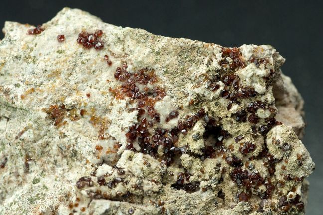 Garnet Garnet
