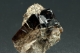 Cassiterite