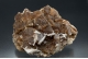 Calcite & Harmotome