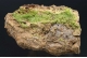 Pyromorphite