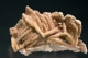 Barite and Calcite