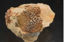 Vanadinite and Descloizite