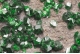 Uvarovite