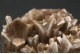 Selenite (Gypsum)