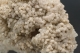 Analcime and Calcite
