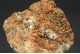 Mimetite Var. Campylite