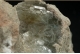 Barite