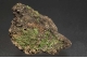 Pyromorphite